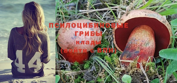 тгк Протвино
